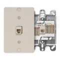 Leviton  4 conductor, wall mount, plastic 40253-I